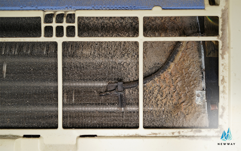 Dirty Evaporator and Condenser Coils Mould in aircon