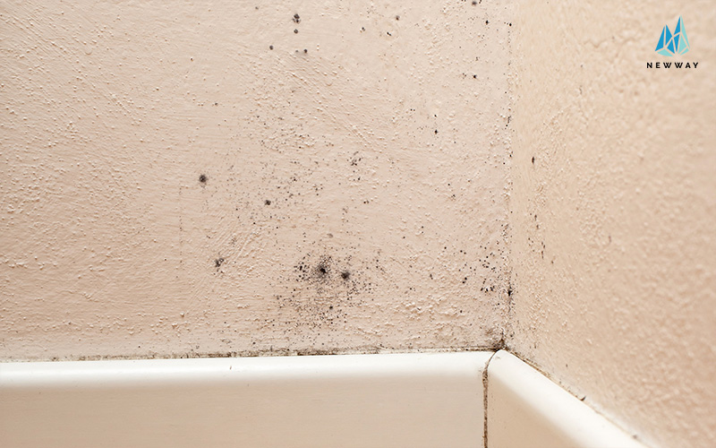 moldy wall due to high indoor humidity